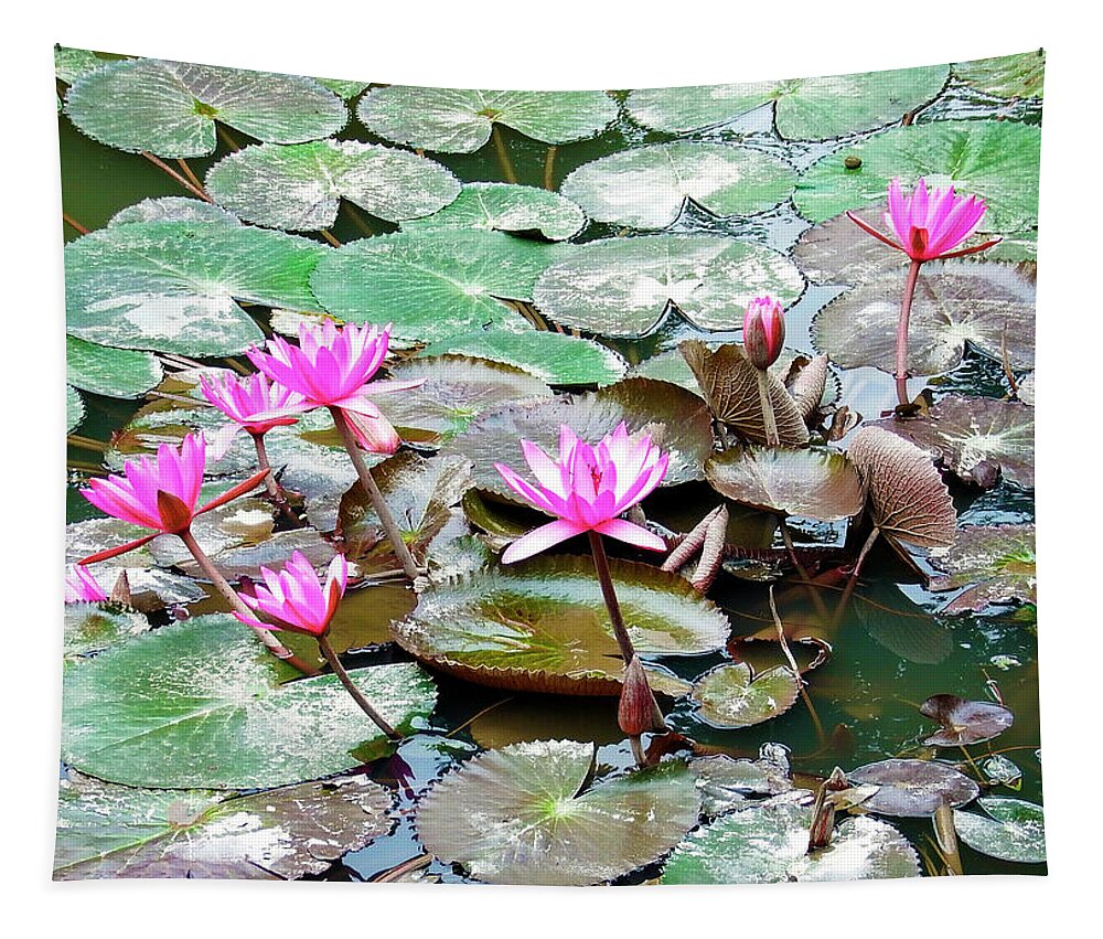 Photography Tapestry featuring the photograph Pink Lotus of Vietnam by Kurt Van Wagner