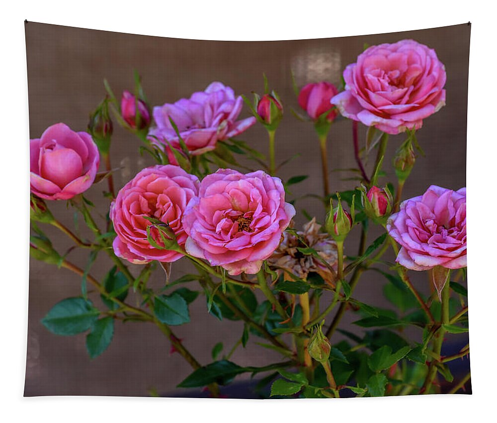 Debra Martz Tapestry featuring the photograph Pink Miniature Roses by Debra Martz
