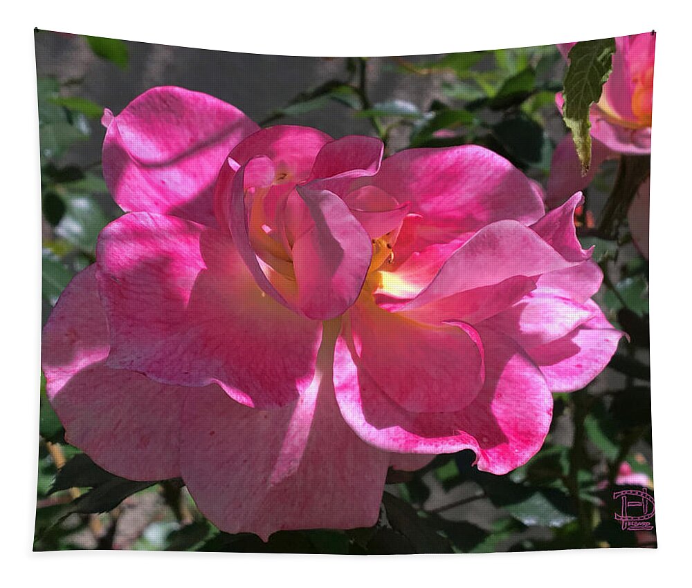 Pink Passion Tapestry featuring the photograph Pink Passion by Daniel Hebard