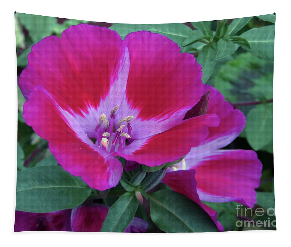  Petunia Tapestry featuring the photograph Pink Petunia by Kim Tran