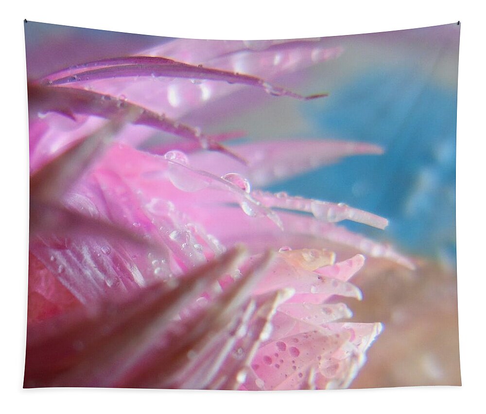 Cropped Tapestry featuring the photograph Pink Splashes Macro by Barbara St Jean