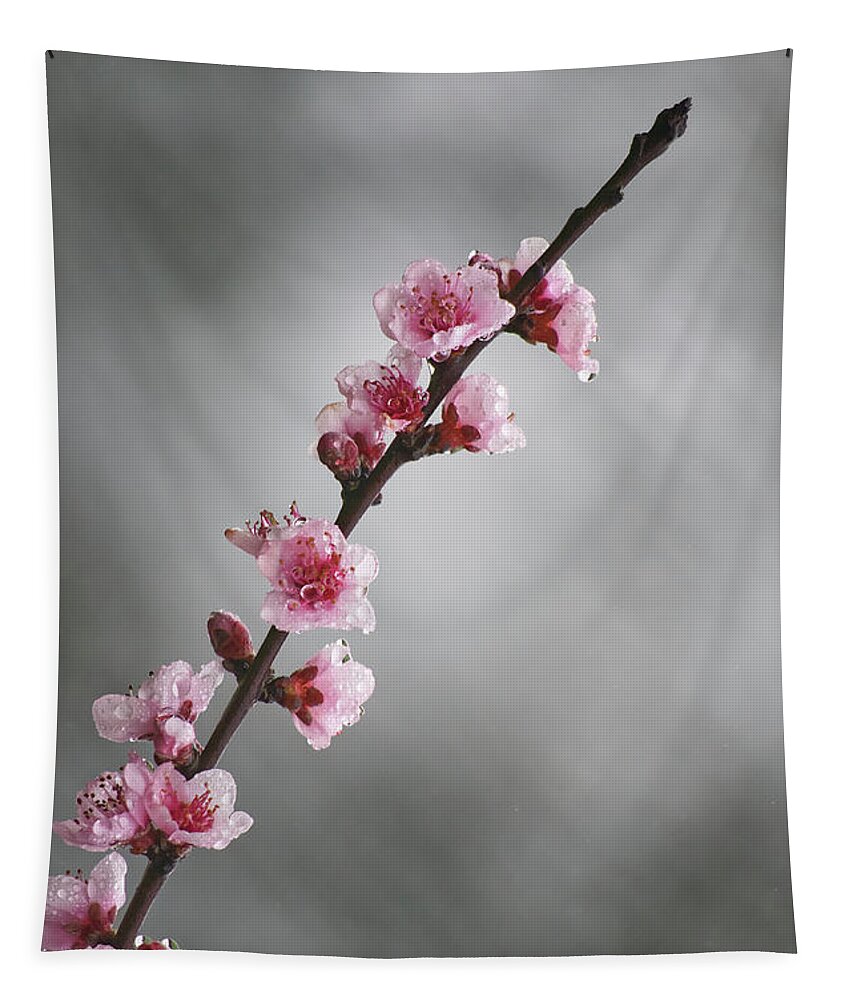 Flower Tapestry featuring the photograph Pink spring II by Paulo Goncalves