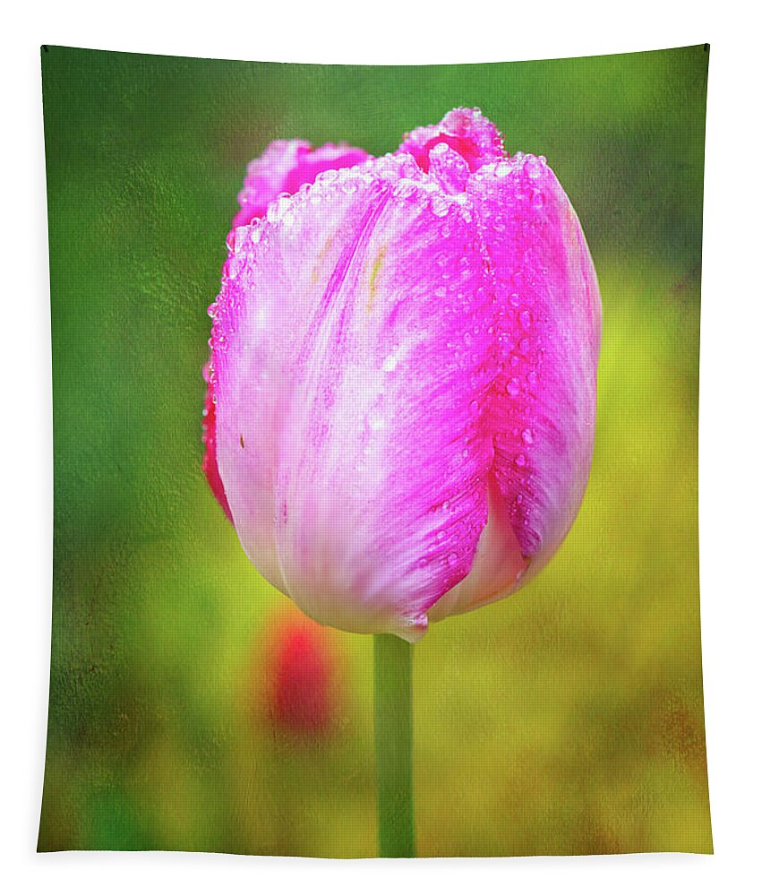 Pink Tulip Tapestry featuring the photograph Pink Tulip in the Rain by Anita Pollak