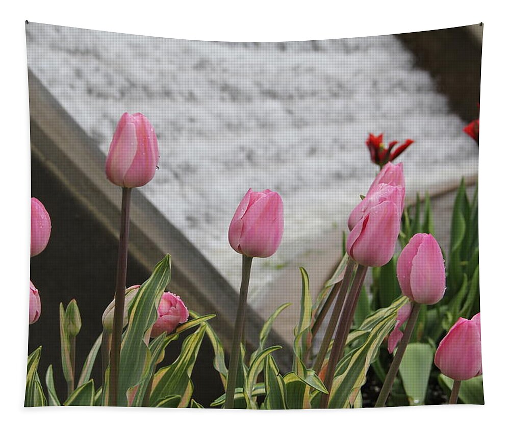 Tulips Tapestry featuring the photograph Pink Tulips by Allen Nice-Webb