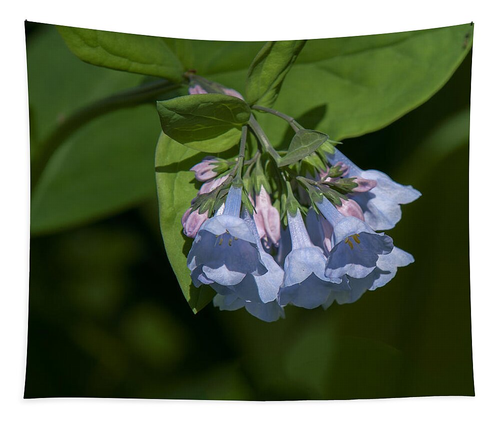 Nature Tapestry featuring the photograph Pink Virginia Bluebells or Virginia Cowslip DSPF0338 by Gerry Gantt