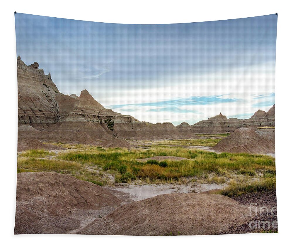 Badlands Tapestry featuring the photograph Pinnacles of the Badlands by Karen Jorstad