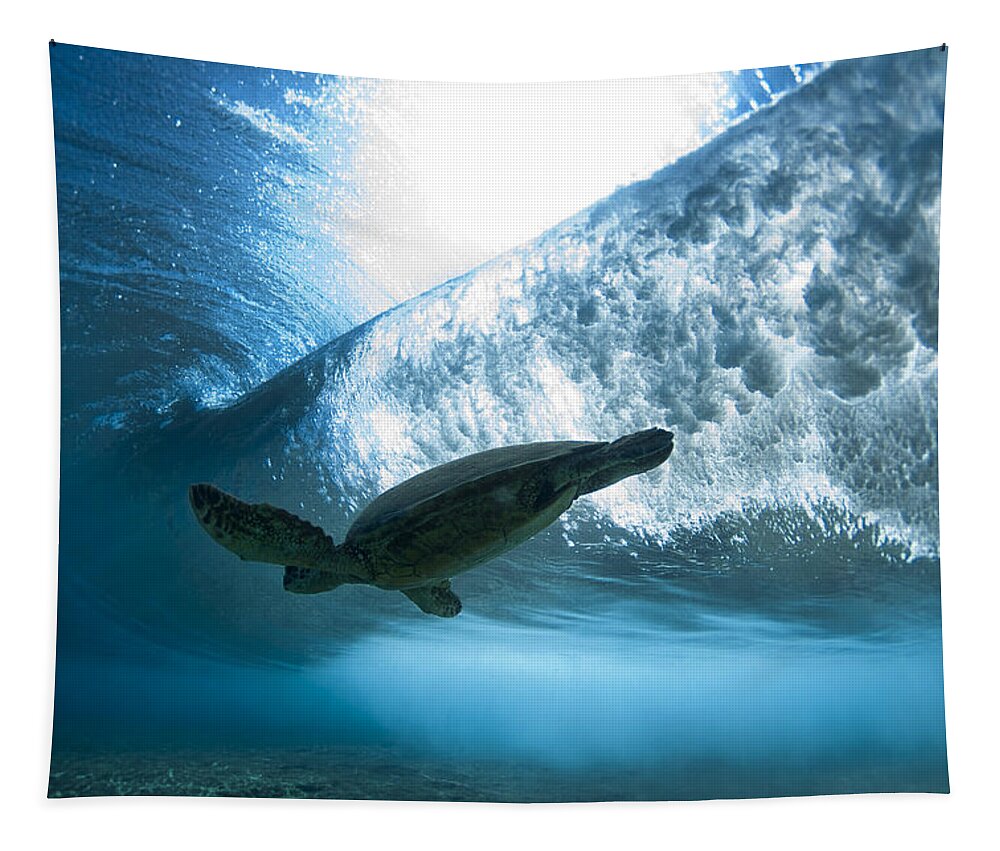  Ocean Tapestry featuring the photograph Pipe Turtle Glide - part 3 of 3 by Sean Davey