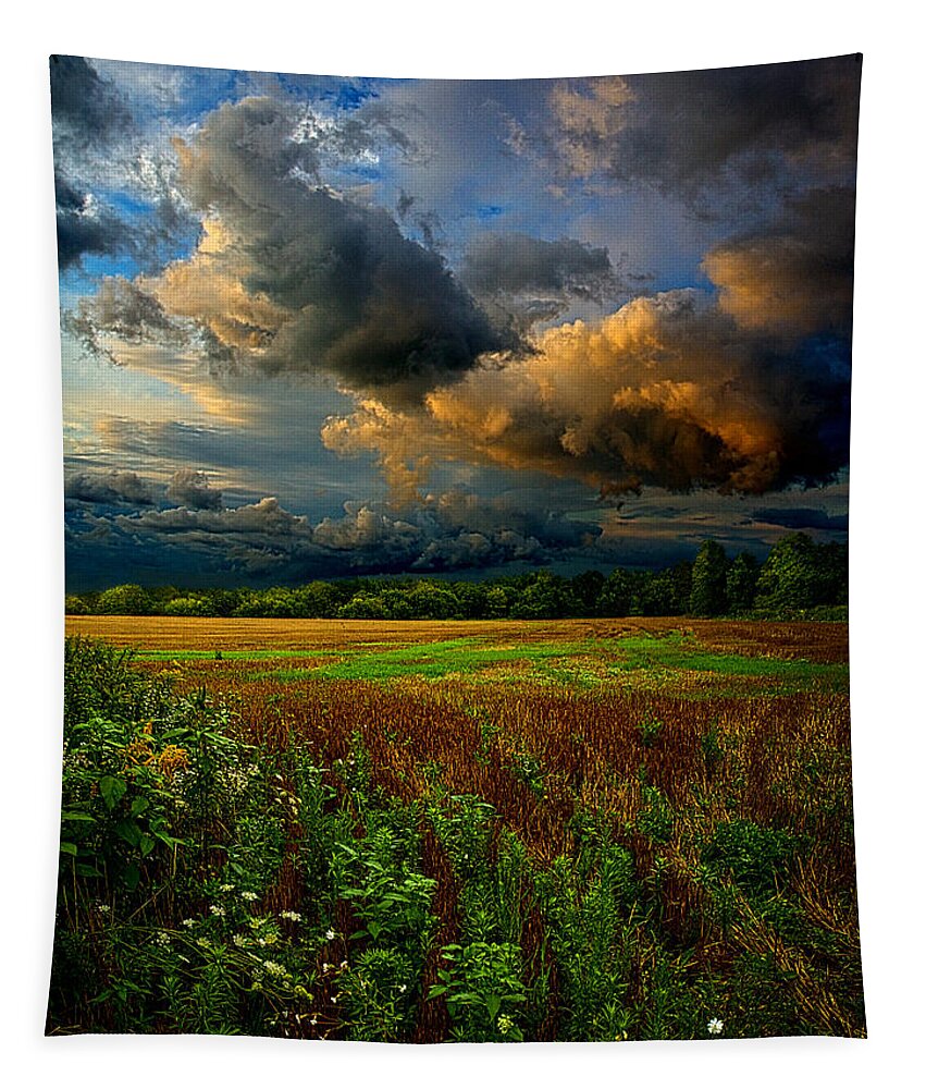 Horizons Tapestry featuring the photograph Places in the Heart by Phil Koch
