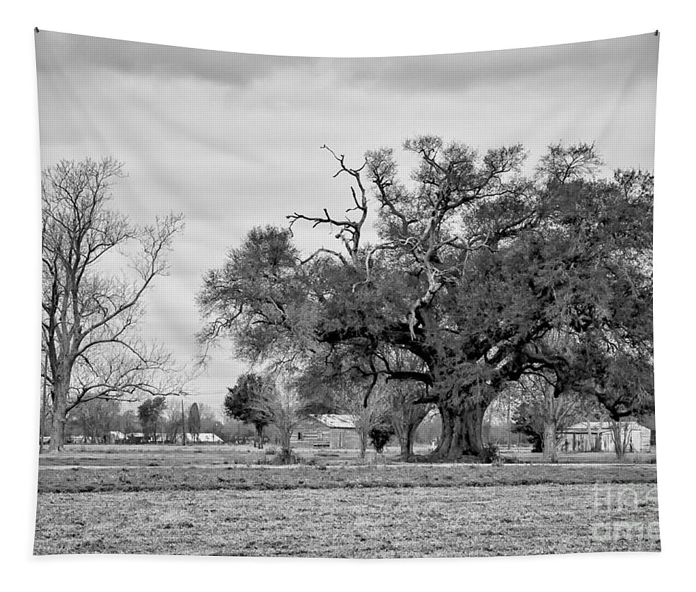  Oak Tapestry featuring the photograph Plantation Live Oak -River Road LA by Kathleen K Parker