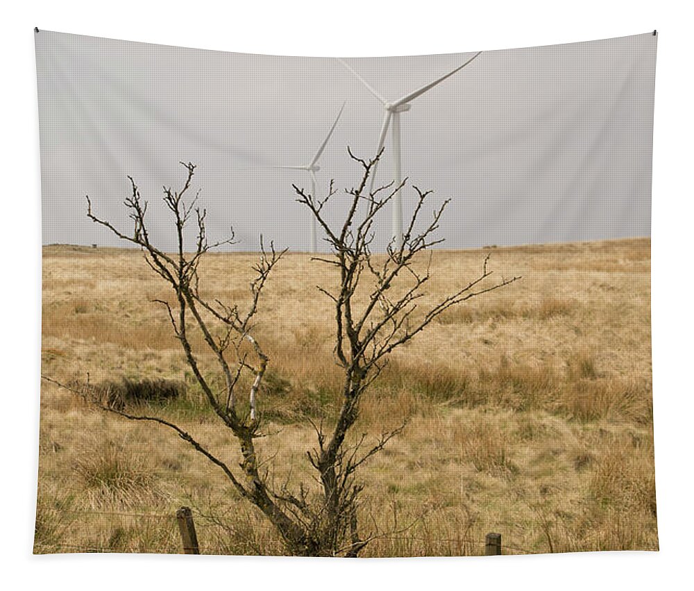 Windmill Tapestry featuring the photograph Planted. by Elena Perelman
