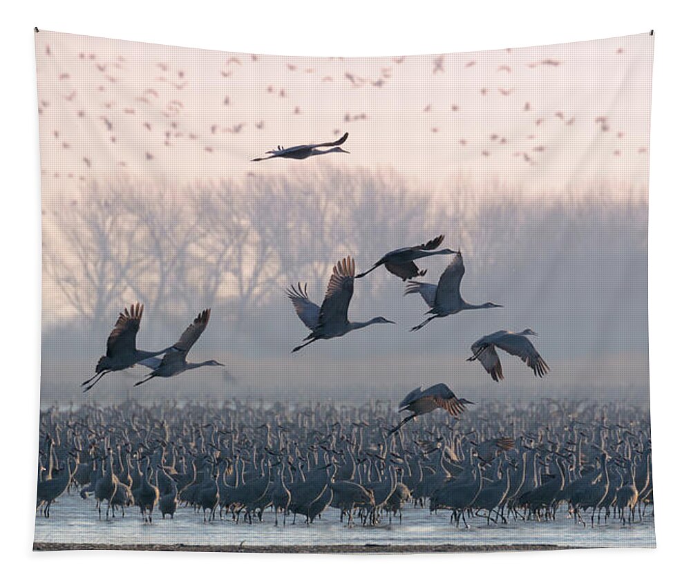 Sandhill Cranes Tapestry featuring the photograph Platte River Morn by Susan Rissi Tregoning