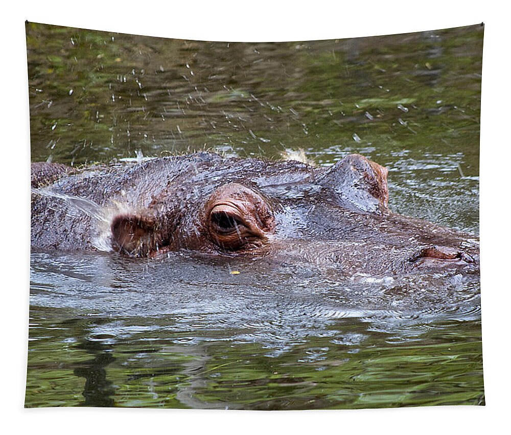 Wildlife Tapestry featuring the photograph Playful Hippopotamus by Kenneth Albin