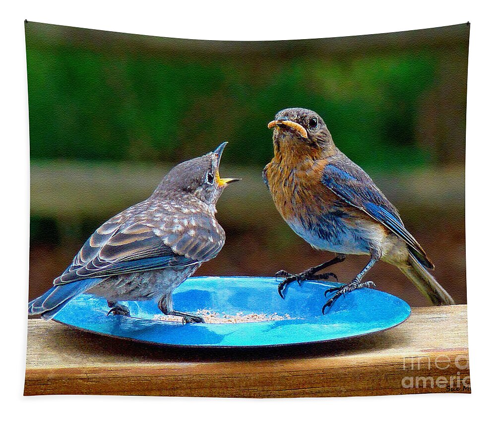 Bluebird Tapestry featuring the photograph Please Please Pretty Please by Sue Melvin