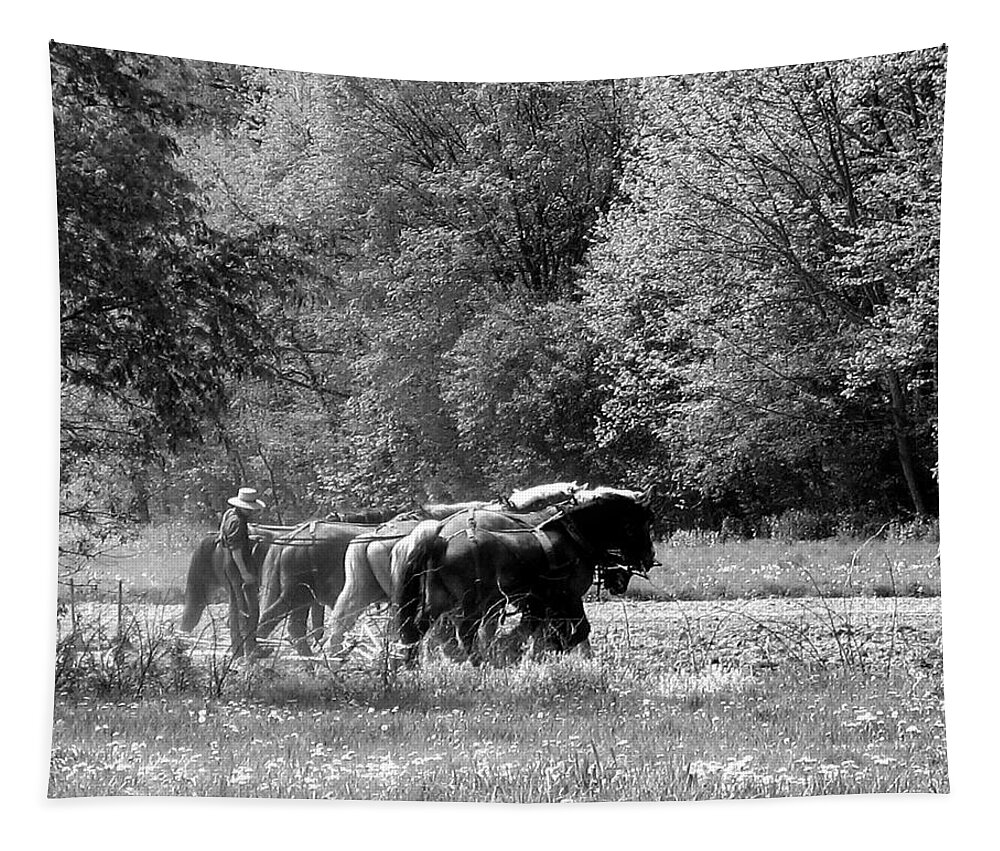 Amish Tapestry featuring the photograph Plowing the Old Way 1 by George Jones