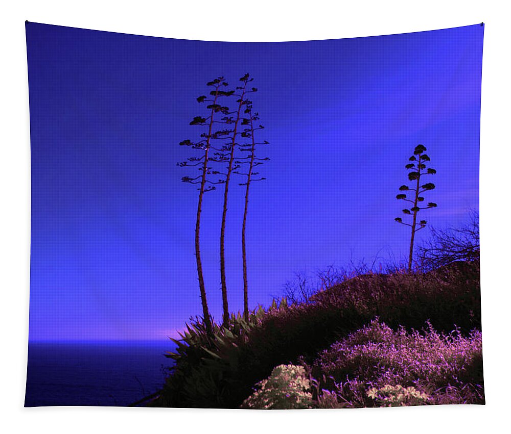 Art Tapestry featuring the photograph Point Fermin in Infrared by Randall Nyhof