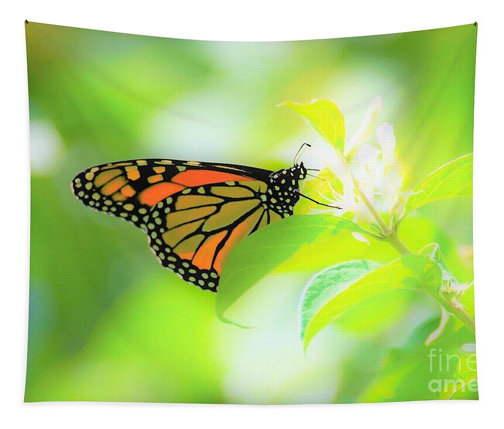 Butterflies Tapestry featuring the photograph Poka Dots by Merle Grenz