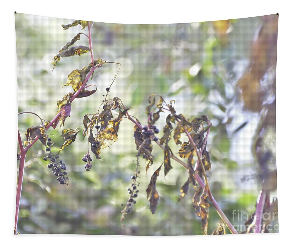 Pokeberry Tapestry featuring the photograph Pokeberry Light by Kerri Farley