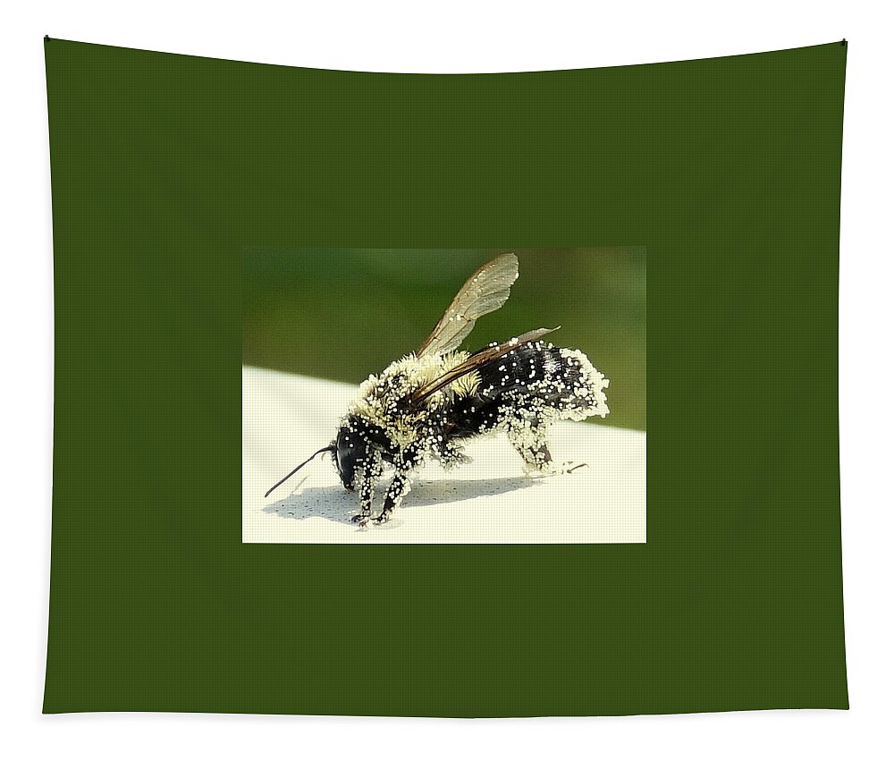 Bee Tapestry featuring the photograph Pollen Overload by Lori Lafargue
