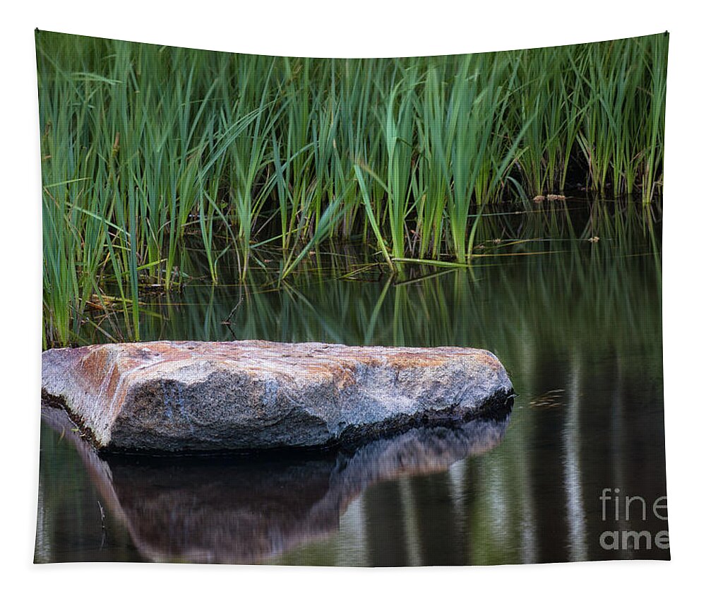 Pond Tapestry featuring the photograph Pond by Anthony Michael Bonafede