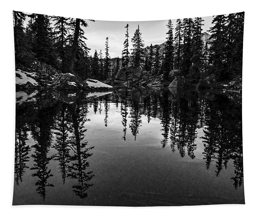 River Tapestry featuring the photograph Pond on the Pacific Crest Trail Black and White by Pelo Blanco Photo