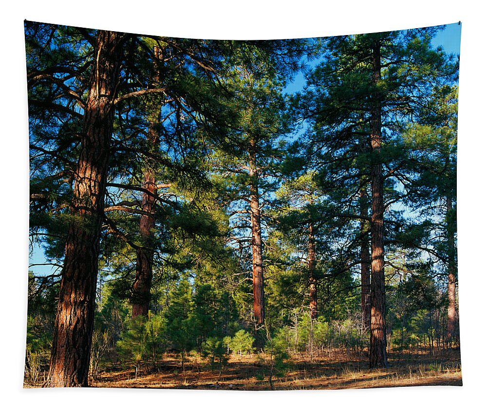 Photography Tapestry featuring the photograph Ponderosa Pine Tree Forest, Kaibab by Panoramic Images