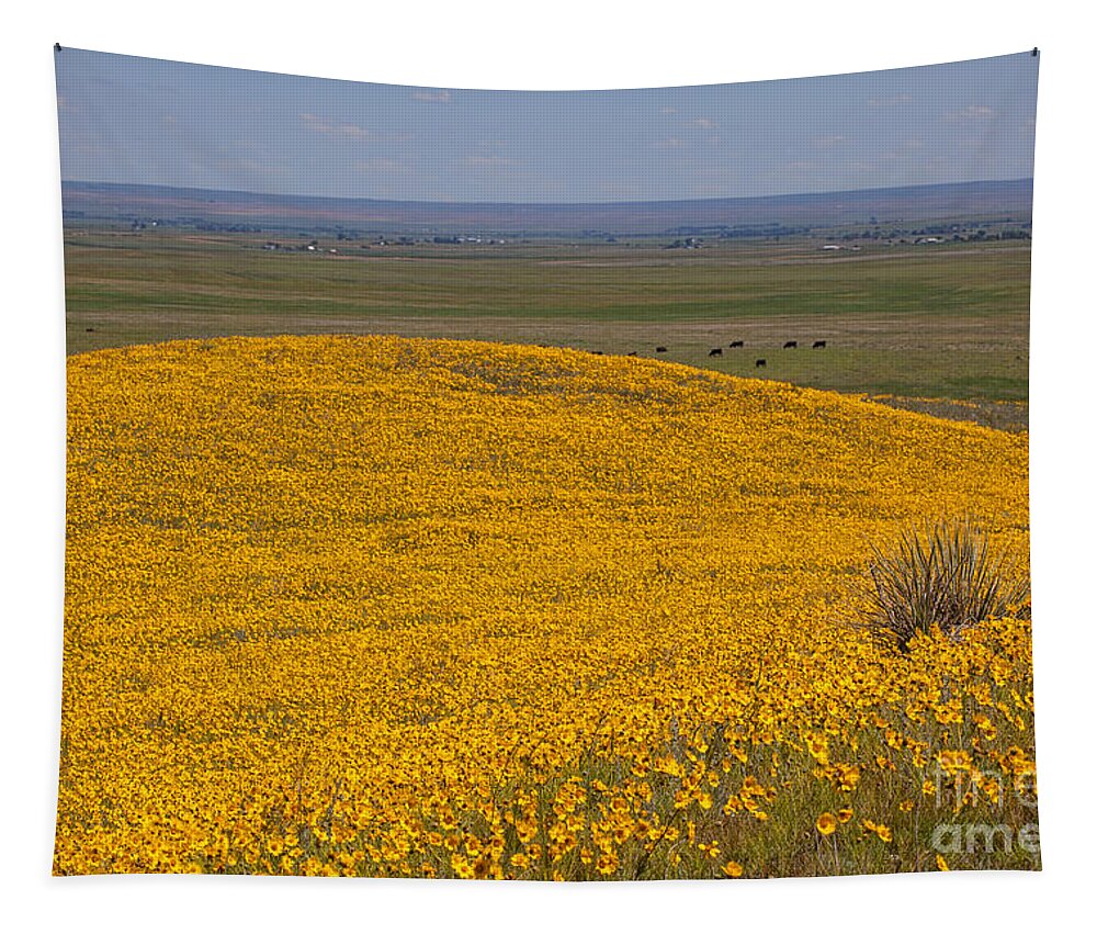 Yellow Wildflowers Tapestry featuring the photograph Mound of Gold by Jim Garrison