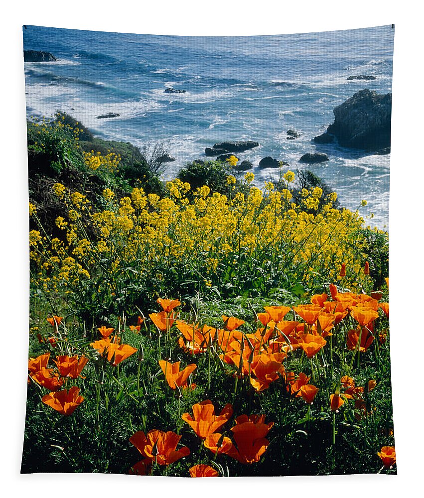 Photography Tapestry featuring the photograph Poppies Along Coast Ca Usa by Panoramic Images