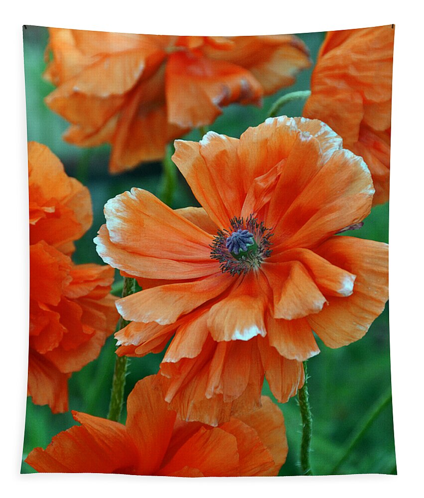 Papaver Somniferum. Opium Tapestry featuring the photograph Poppy Fields by Angelina Tamez