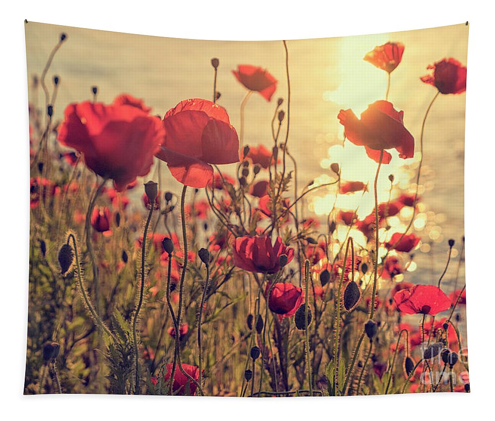 Poppy Tapestry featuring the photograph Poppy flowers at sunset by Patricia Hofmeester