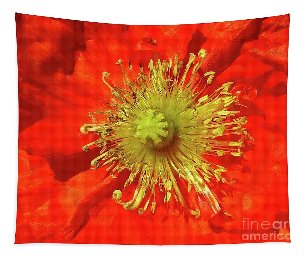Poppy Tapestry featuring the photograph Poppy Glory by Barbie Corbett-Newmin