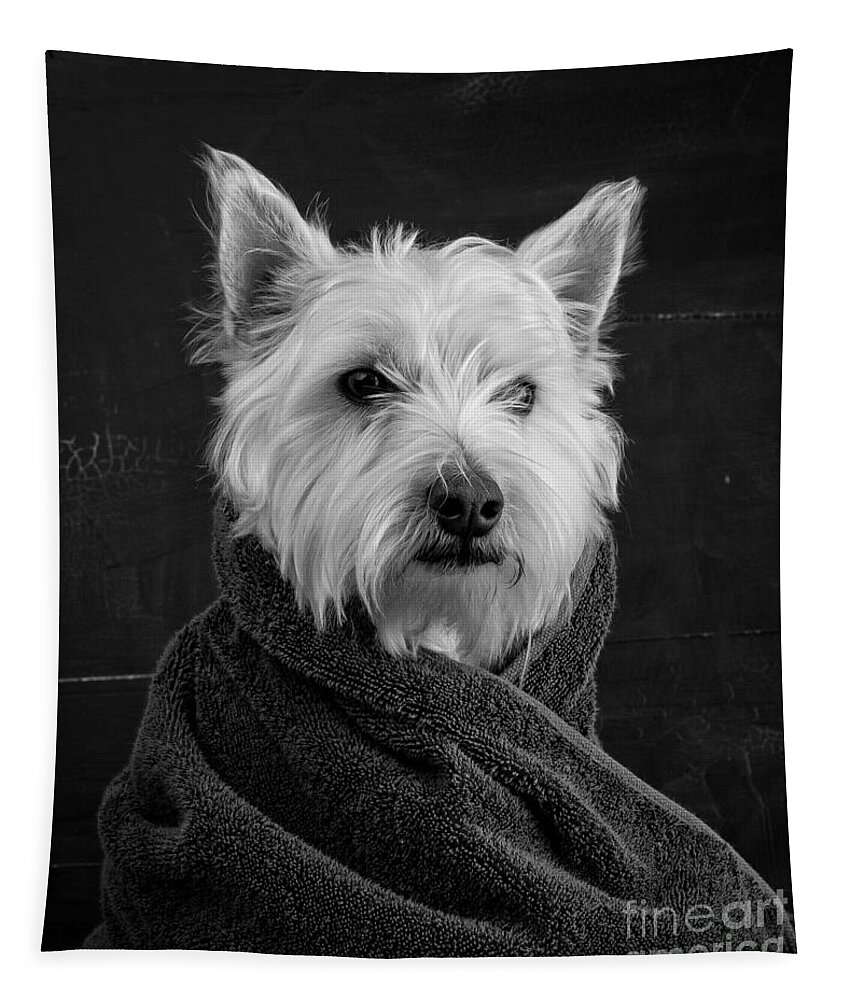 Portrait Of A Westie Dog Tapestry featuring the photograph Portrait of a Westie Dog by Edward Fielding