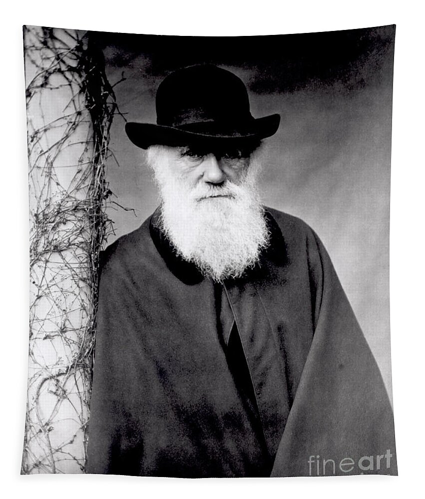 Portrait Of Charles Darwin (1809-82) 1881 (b/w Photo) By Julia Margaret Cameron (1815-79) Tapestry featuring the photograph Portrait of Charles Darwin by Julia Margaret Cameron