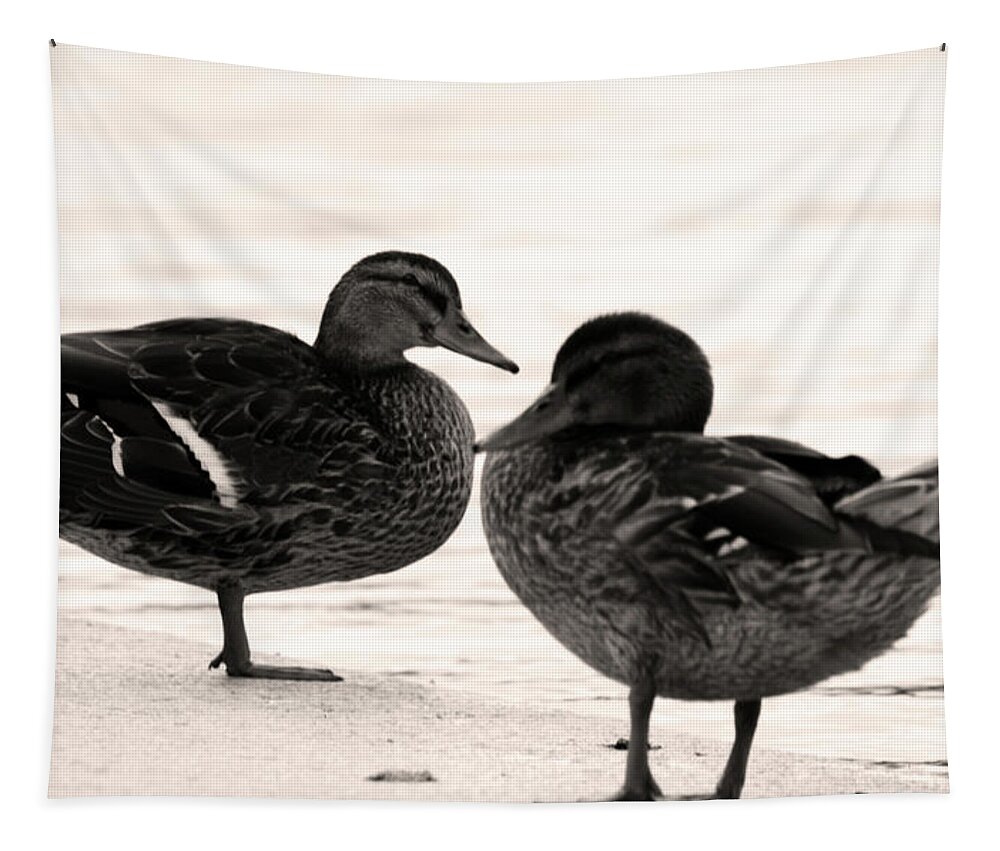 Waterfowl Tapestry featuring the photograph Posing by La Dolce Vita