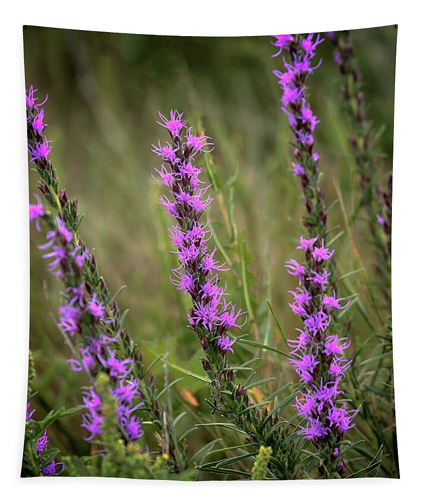 Blazing Star Tapestry featuring the photograph Prairie Blazing Star by Susan Rissi Tregoning