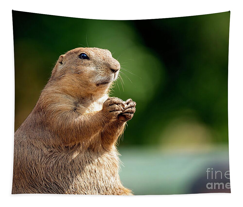 Prairie Dog Tapestry featuring the photograph Prairie dog enjoying a meal. by Sam Rino