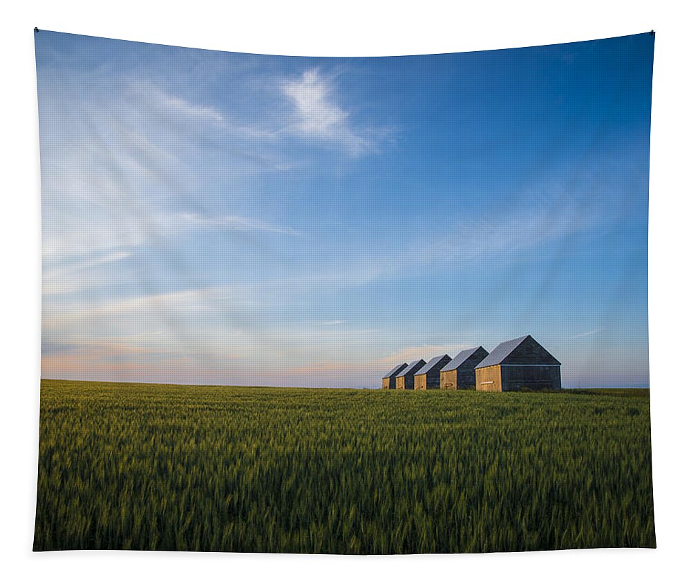 Farming Tapestry featuring the photograph Prairie evening by Bill Cubitt