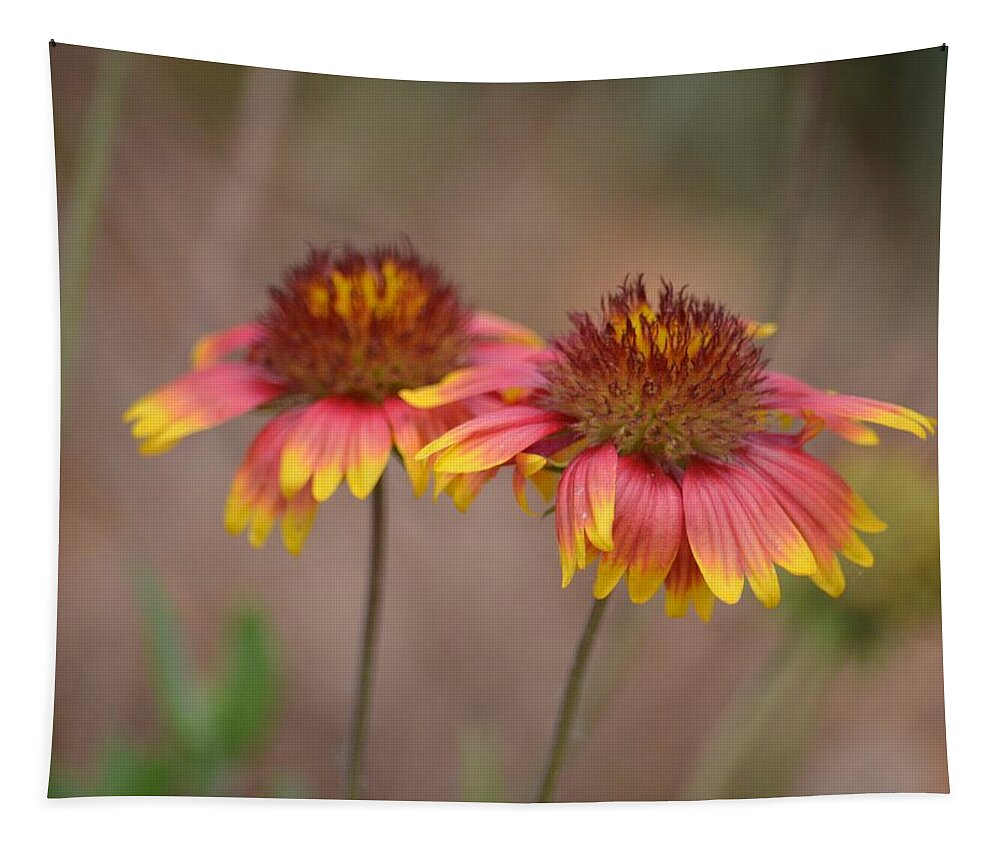 Prairie Pink Tapestry featuring the photograph Prairie Pink by Maria Urso