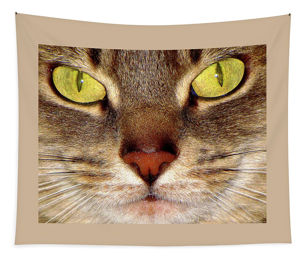 Cat Tapestry featuring the photograph Precious My Precious by Lori Lafargue