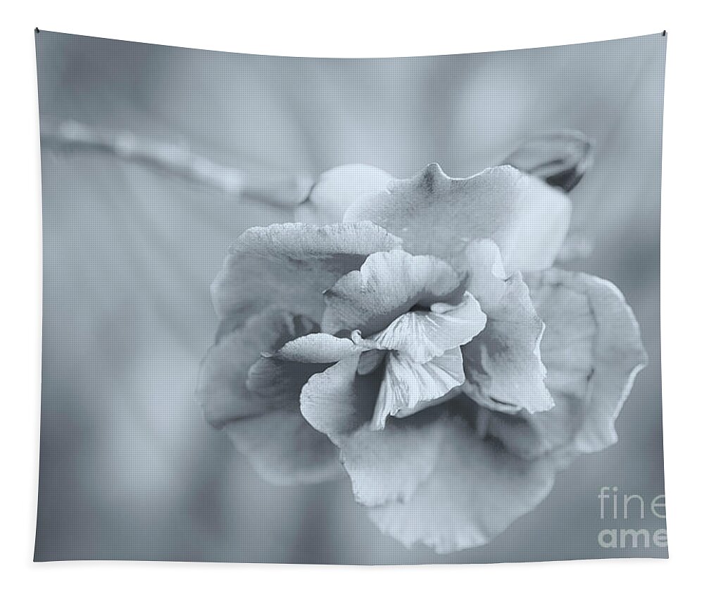 Flower Tapestry featuring the photograph Precious Silver by Linda Lees