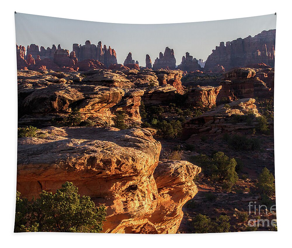 Canyonlands Landscape Tapestry featuring the photograph Prickle Ridge by Jim Garrison