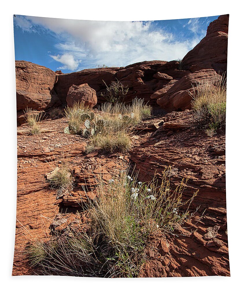 Utah Landscape Tapestry featuring the photograph Prickly Pear Slope by Jim Garrison