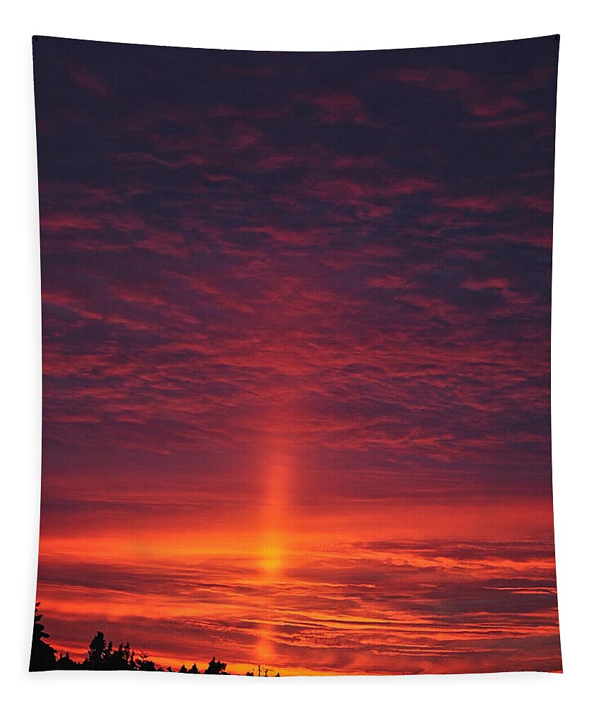 Pride Of The Prairie Sunset Tapestry featuring the photograph Pride of the Prairie Sunset by Tikvah's Hope