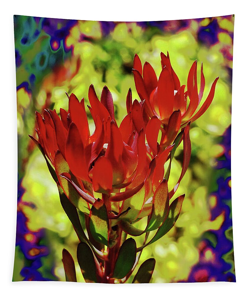 Protea Tapestry featuring the photograph Protea Flower 4 by Xueling Zou