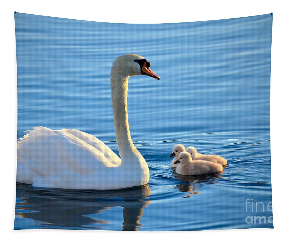 Mute Swan Tapestry featuring the photograph Proud Mother by Deb Halloran