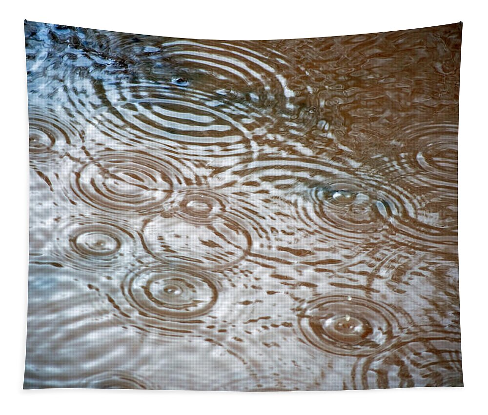 Rain Tapestry featuring the photograph Puddle Patterns by Gwyn Newcombe