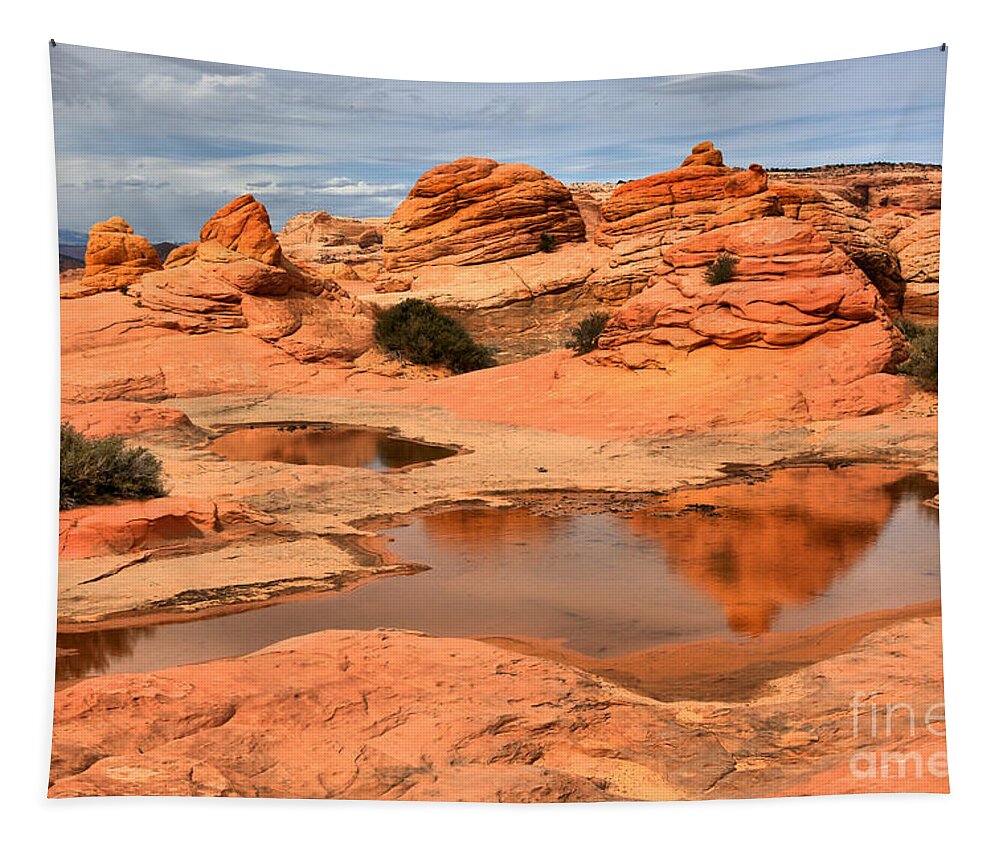 Coyote Buttes Tapestry featuring the photograph Puddles In The Desert Landscape by Adam Jewell