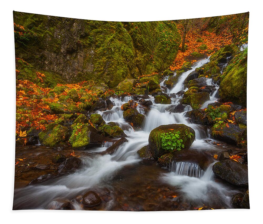 Fall Tapestry featuring the photograph Pumpkin Creamer by Darren White