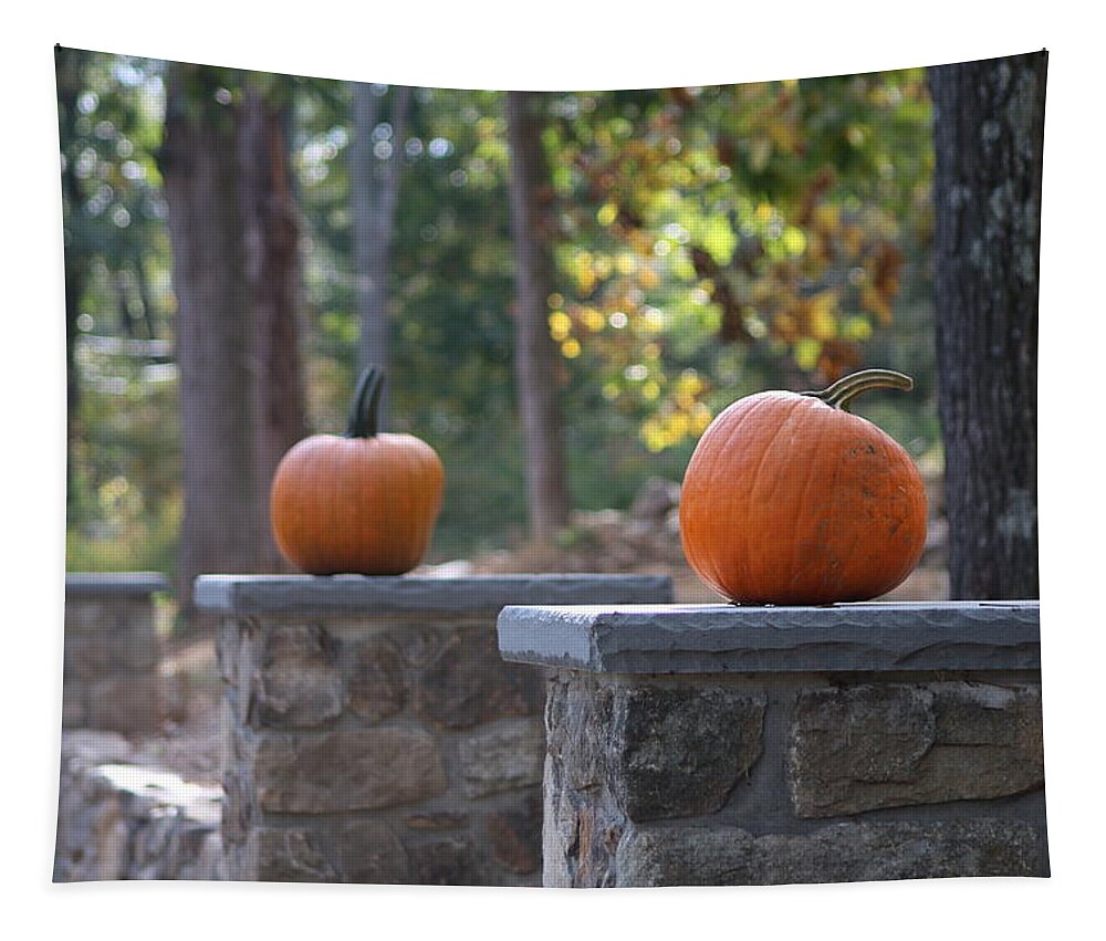 Autumn Tapestry featuring the photograph Pumpkin Stone Wall by Living Color Photography Lorraine Lynch