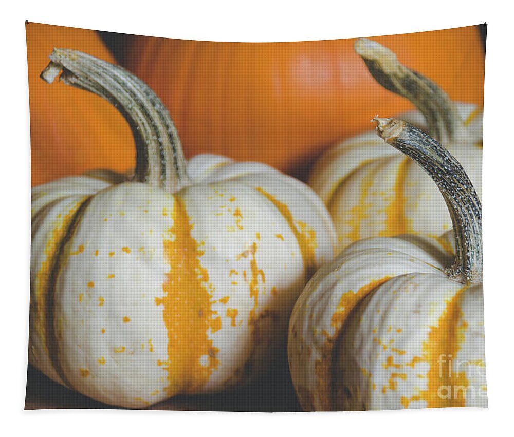 Holidays Tapestry featuring the photograph Pumpkins 8 by Andrea Anderegg