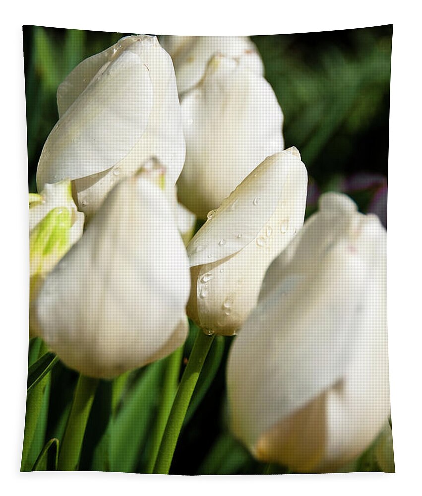  Tulip Tapestry featuring the photograph Purity II by Tamyra Ayles
